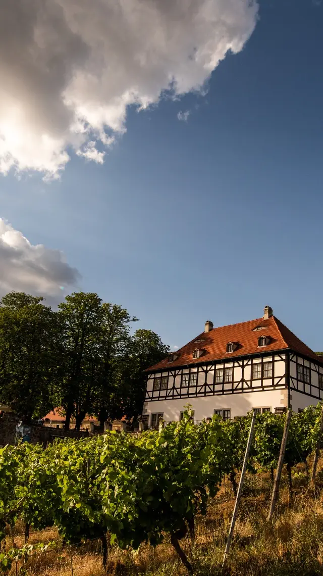 Das Weingut Hoflößnitz ist gelegen in den Weinbergen von Radebeul